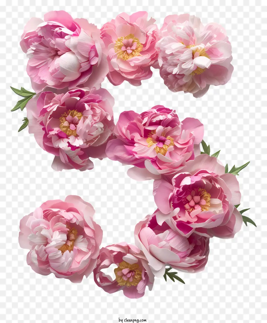 Floral Número Cinco，Peonies Pink PNG