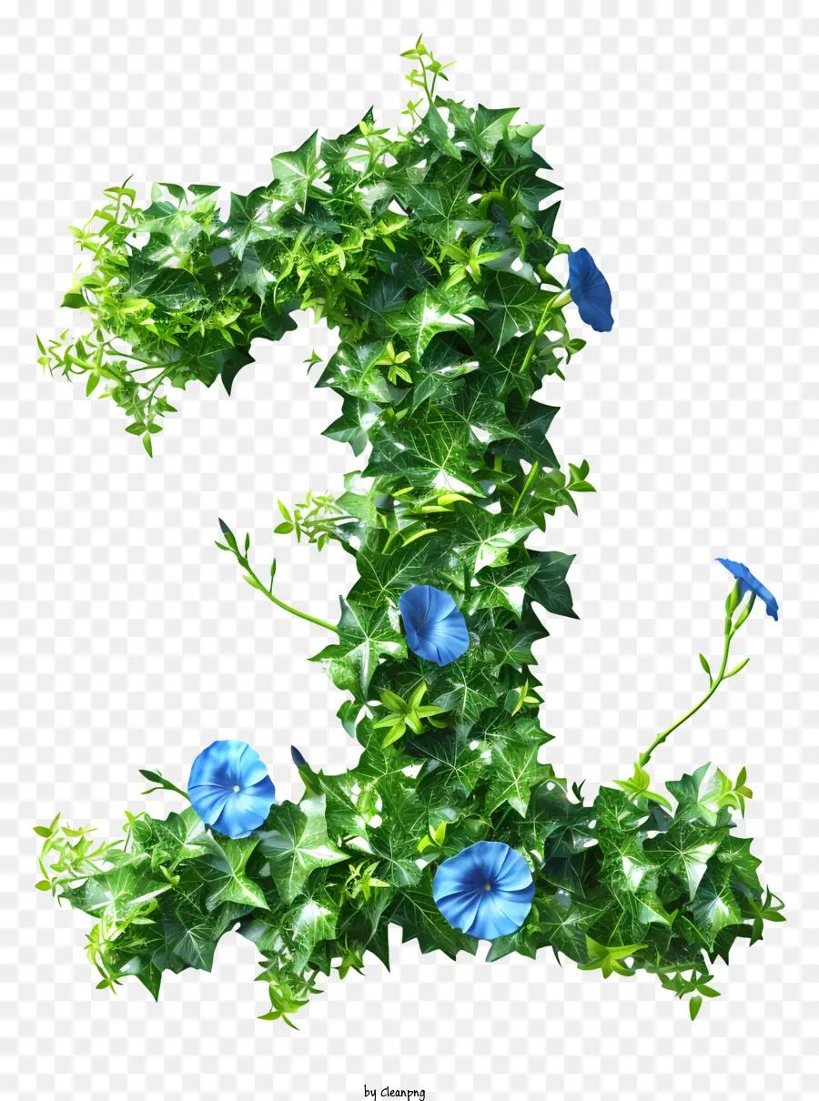 El Número Uno，Ivy PNG