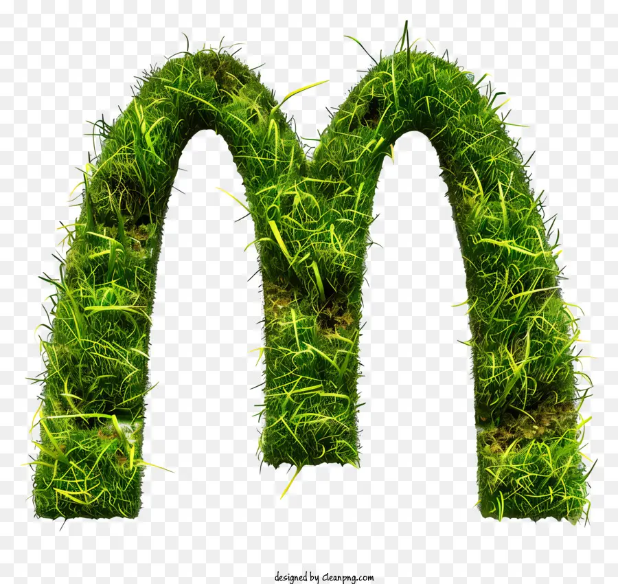 Logotipo De Mcdonalds，La Hierba PNG