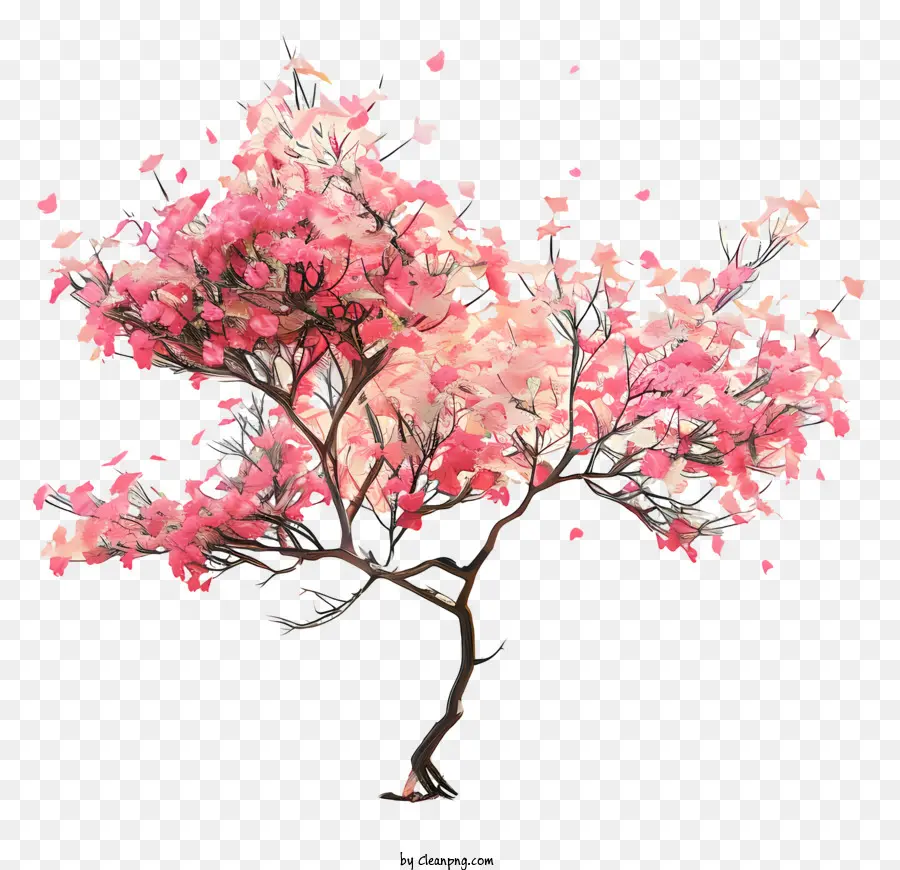 Flor De Cerezo，Rosa árbol PNG