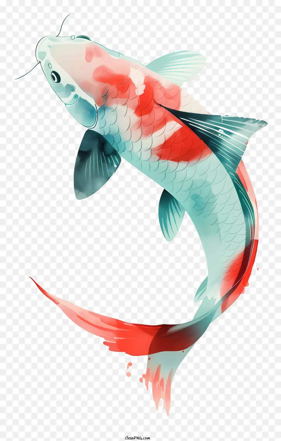 Peces Koi，Los Peces PNG