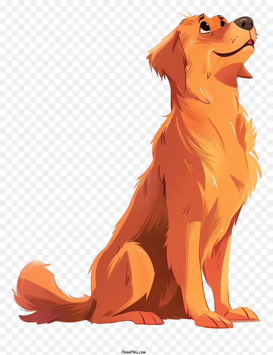 Golden Retriever，Perro De Dibujos Animados PNG