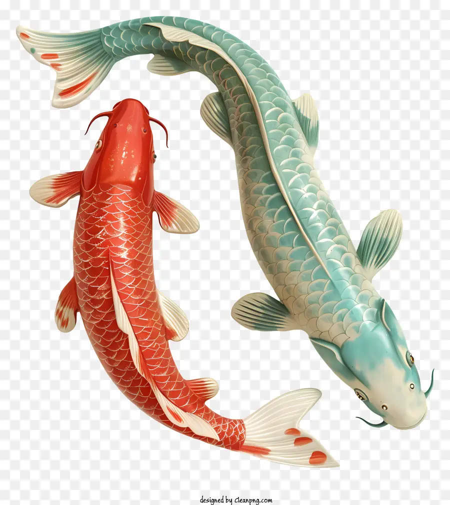 Peces Koi，Orden PNG