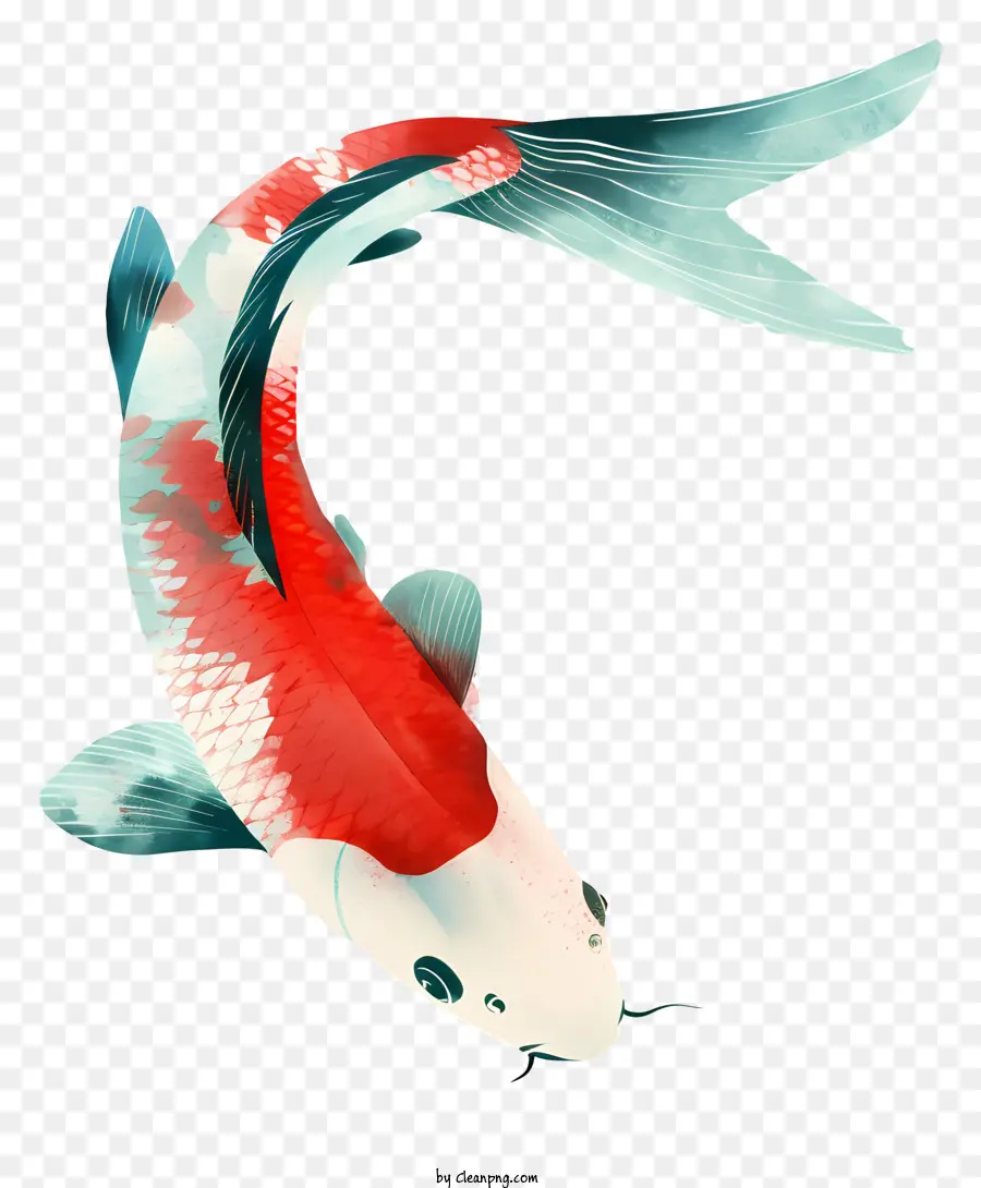 Peces Koi，Pez Exótico PNG