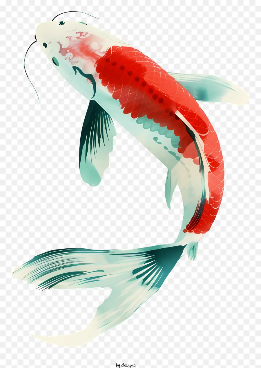 Peces Koi，Rojo Sin Pez PNG