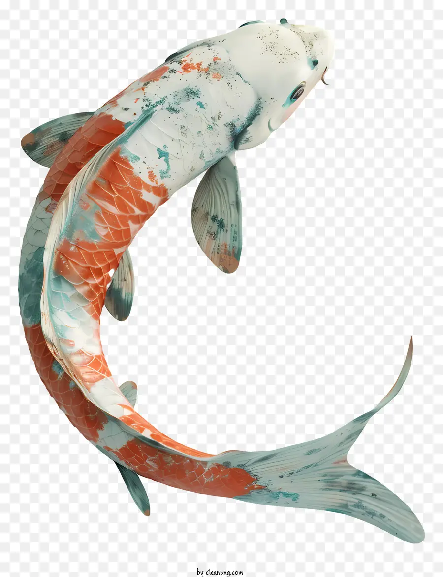 Peces Koi，Los Peces PNG