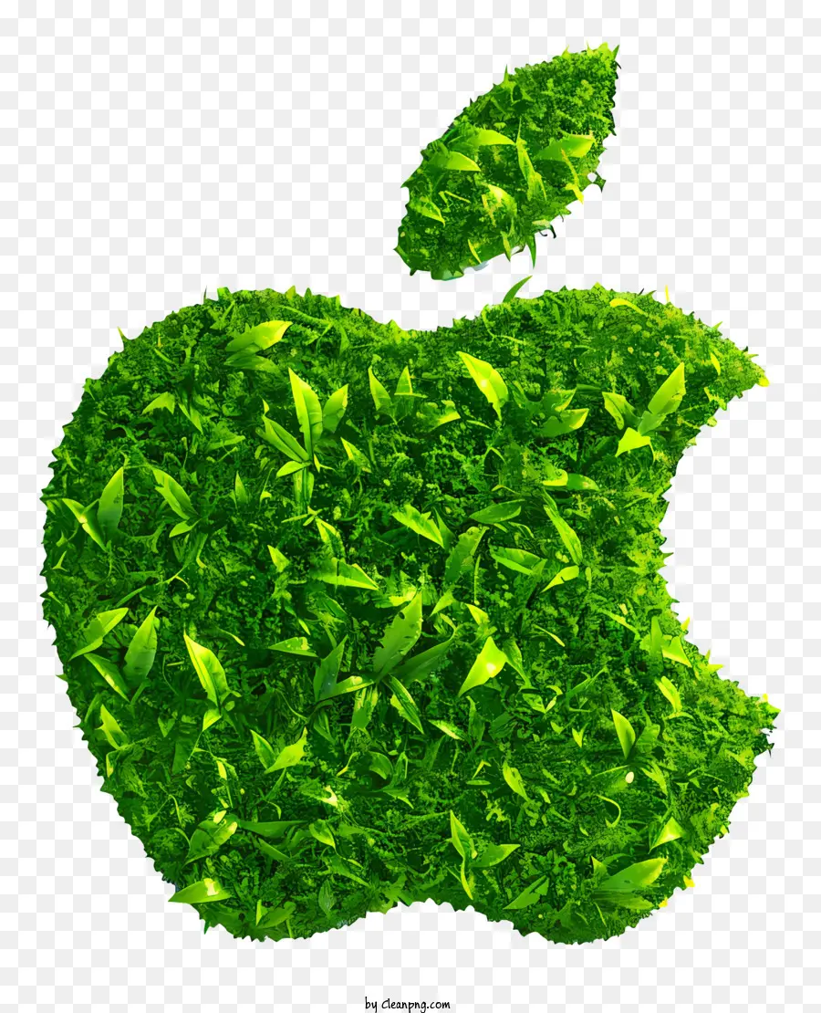 Logotipo De Apple，Hojas Verdes PNG