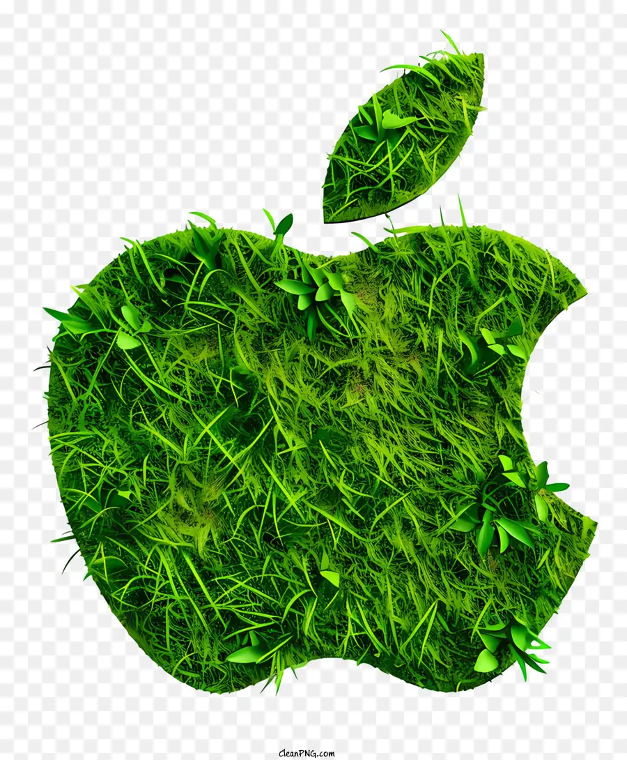 Logotipo De Apple，Apple PNG