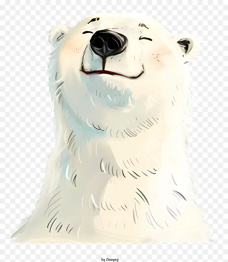 Internacional El Día Del Oso Polar，Oso Polar PNG