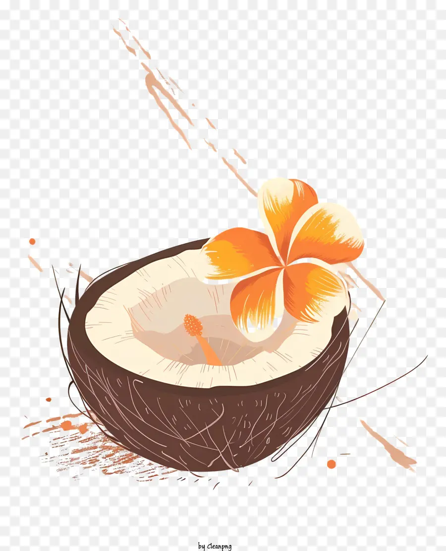 Coco，Cáscara De Coco PNG