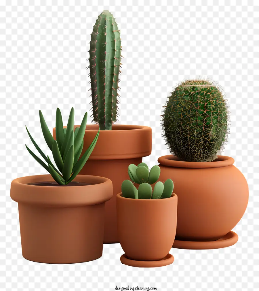 Terracota，Las Plantas En Maceta PNG