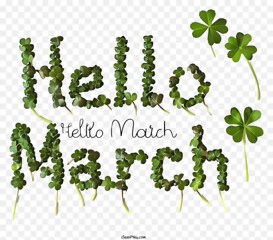 Hola De Marzo De，Shamrock PNG