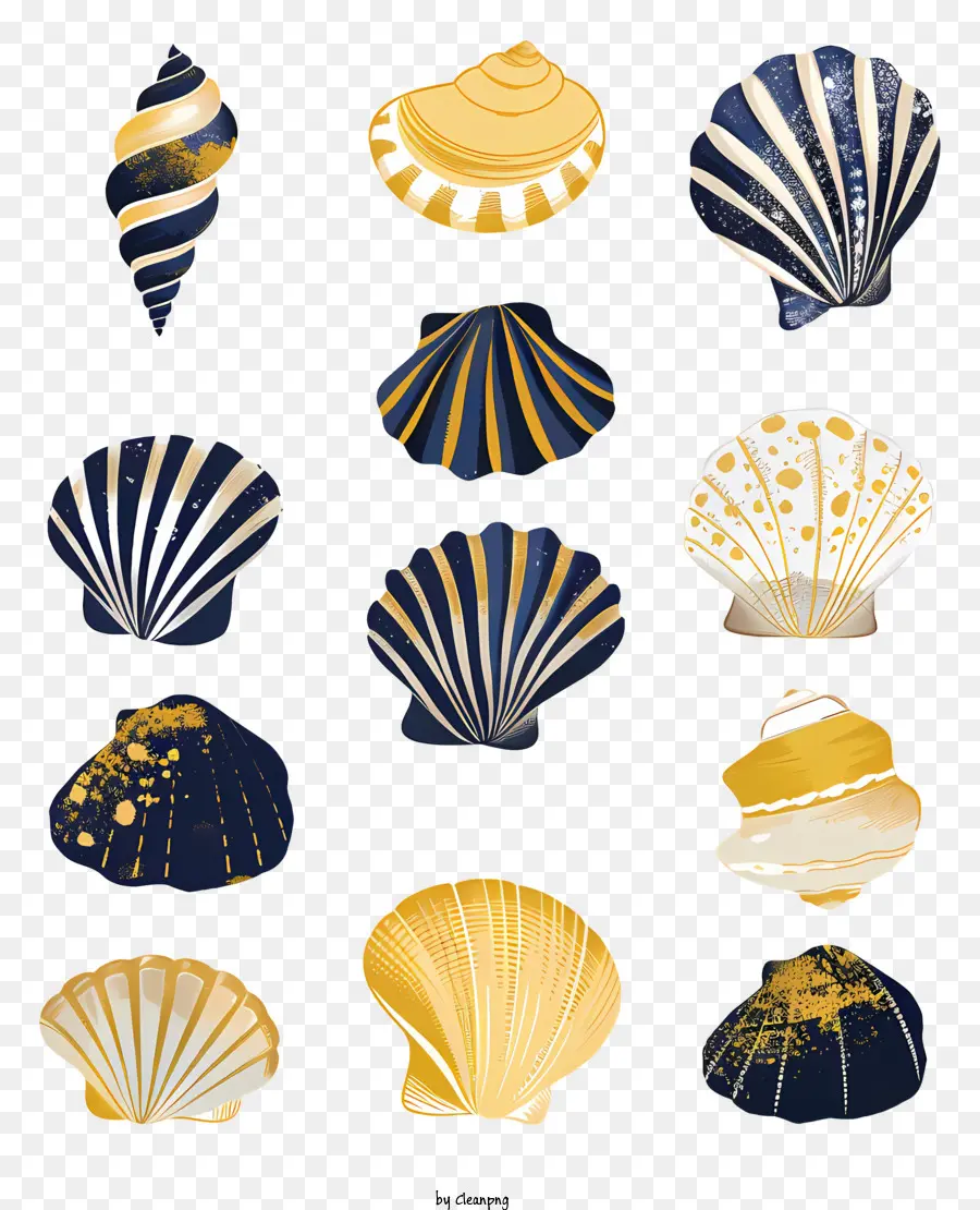 Conchas De Mar，Conchas PNG