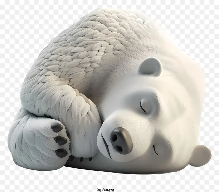 Internacional El Día Del Oso Polar，Oso Blanco PNG