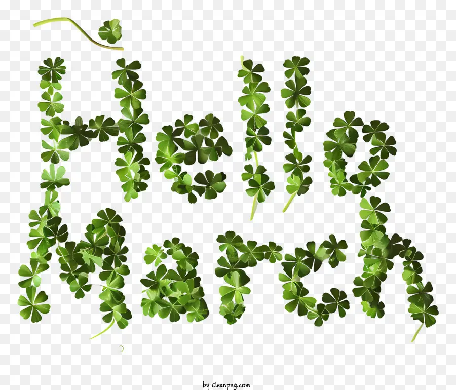 Hola De Marzo De，Shamrock PNG