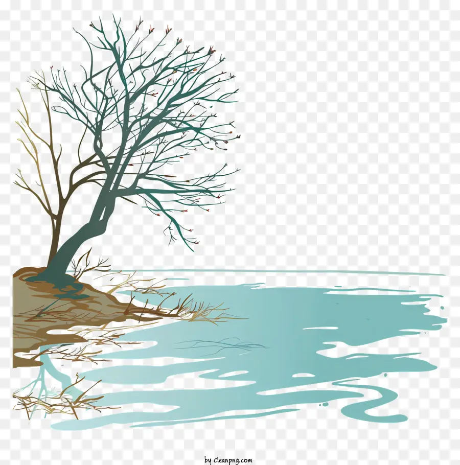 Spring Lake，Árbol PNG