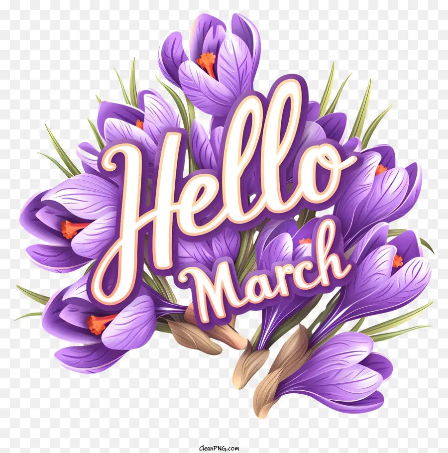 Hola De Marzo De，De Marzo De Flores PNG