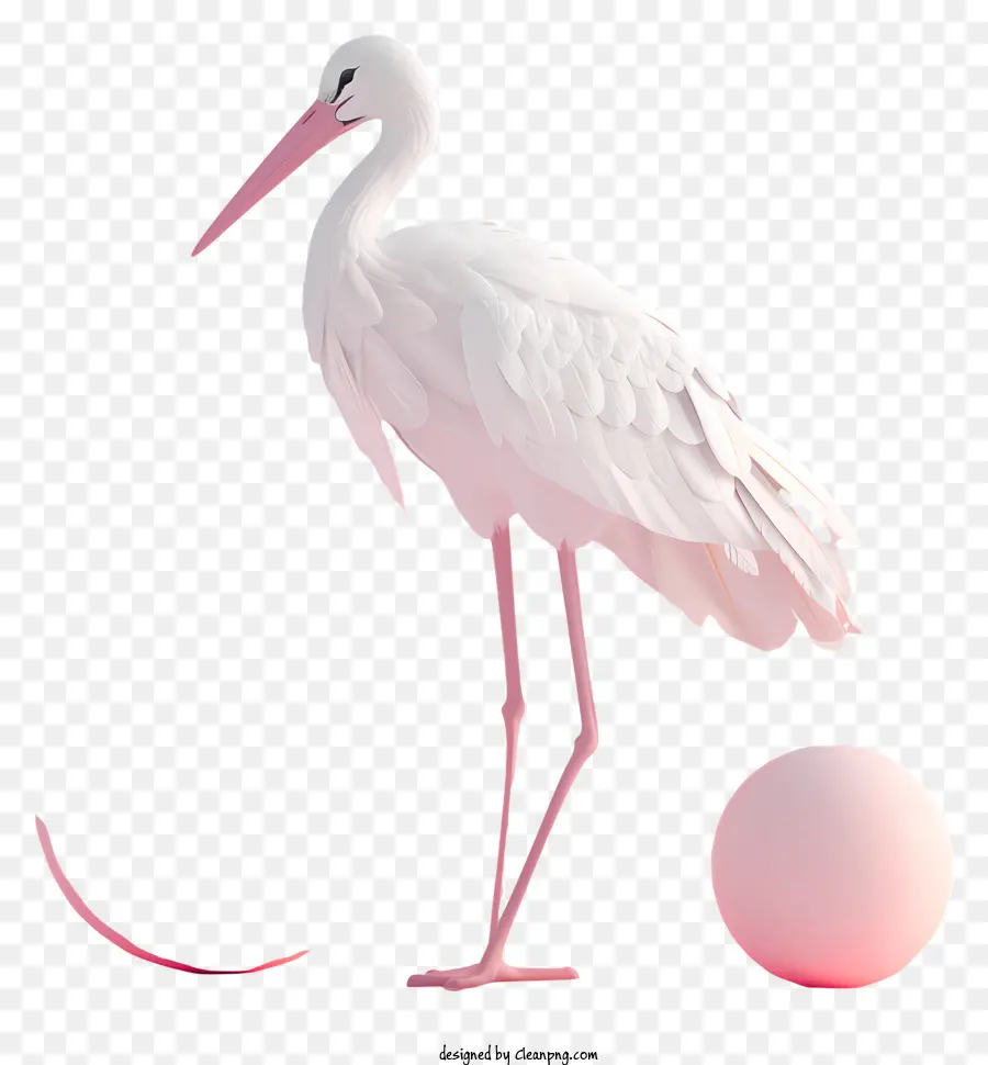 Cigüeña Blanca，Pájaro Blanco PNG