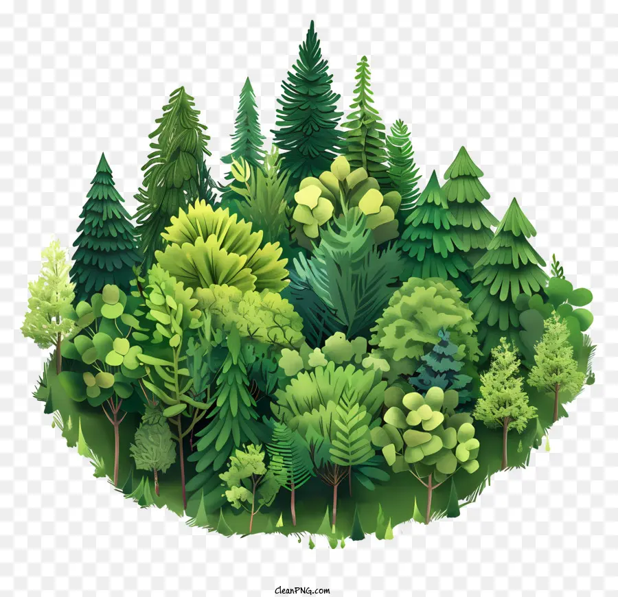 Día Internacional De Los Bosques，Bosque PNG