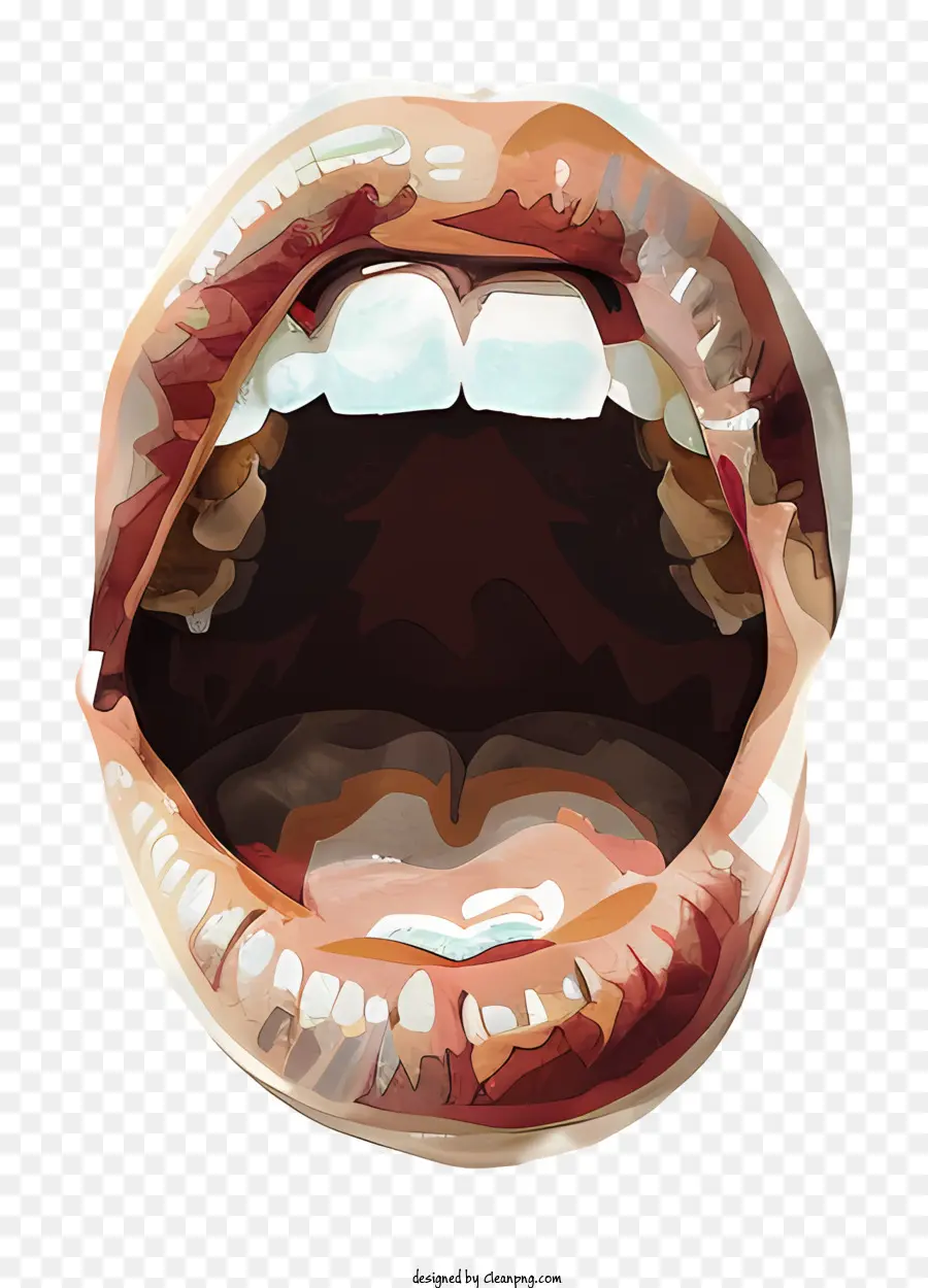 Boca，Los Dientes PNG