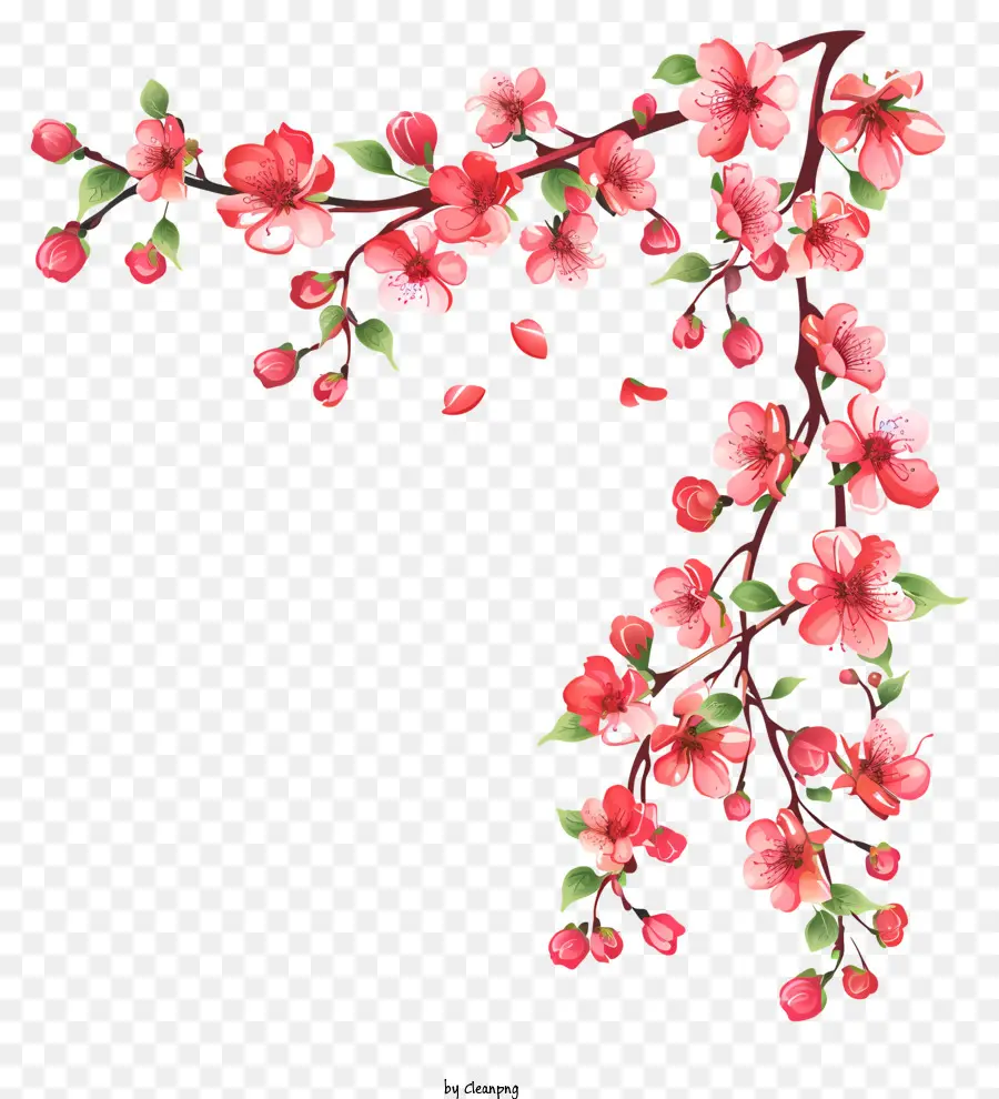 Comienza La Primavera，Flores De Cerezo PNG