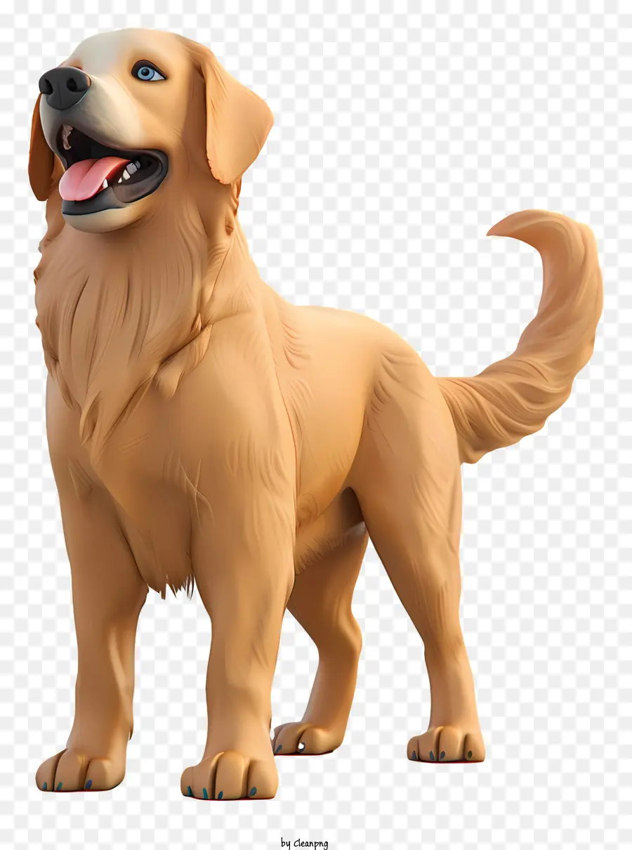 Golden Retriever，Perro PNG