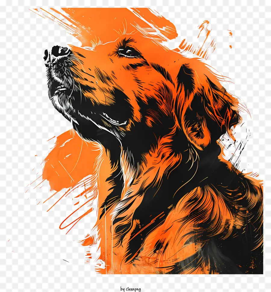 Golden Retriever，Perro Naranja PNG