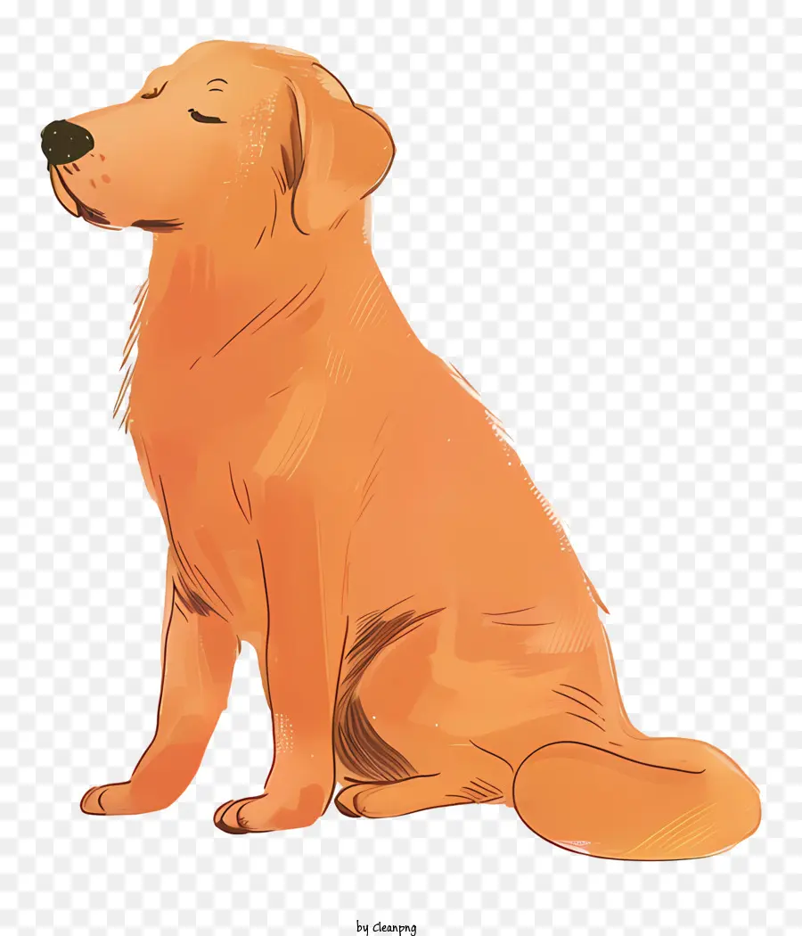 Golden Retriever，Dibujo De La Historieta PNG