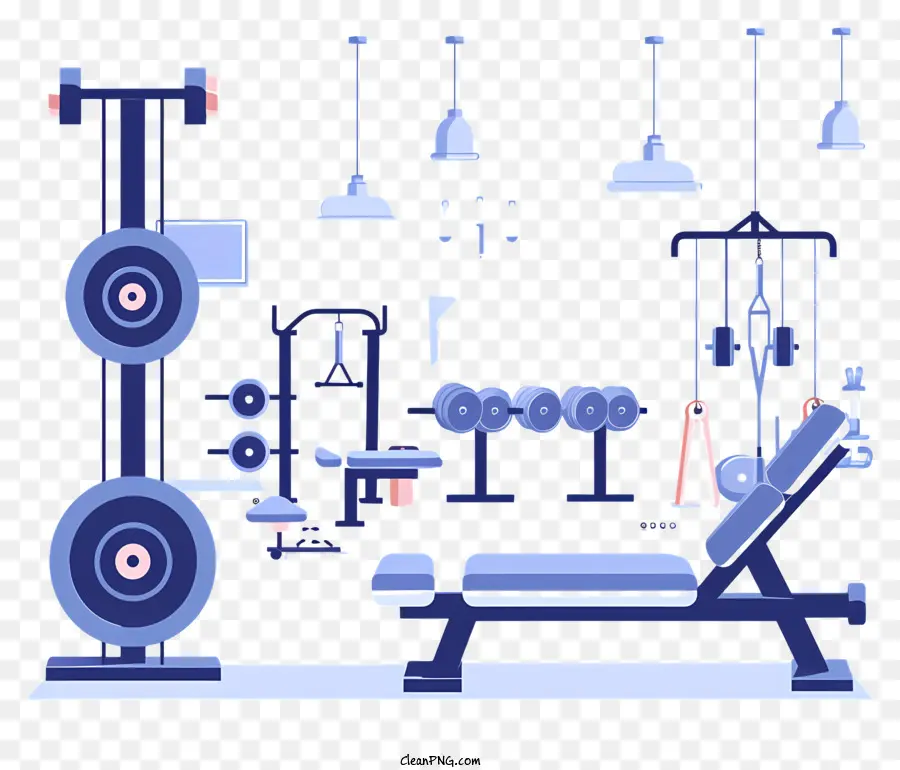 Gimnasio，Equipo De Gimnasio PNG