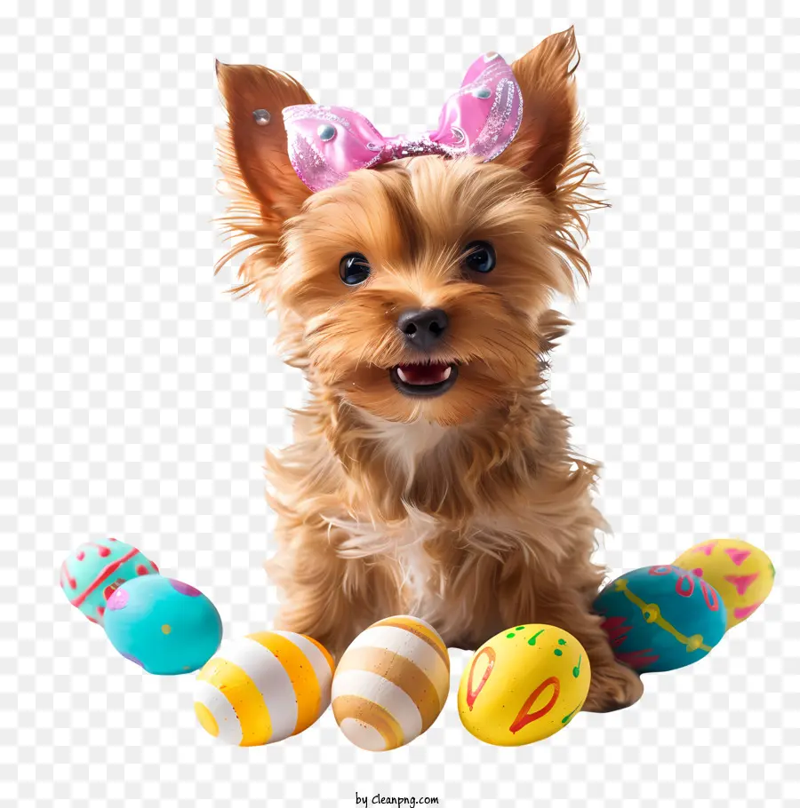 Mascota De Pascua，Yorkshire Terrier PNG