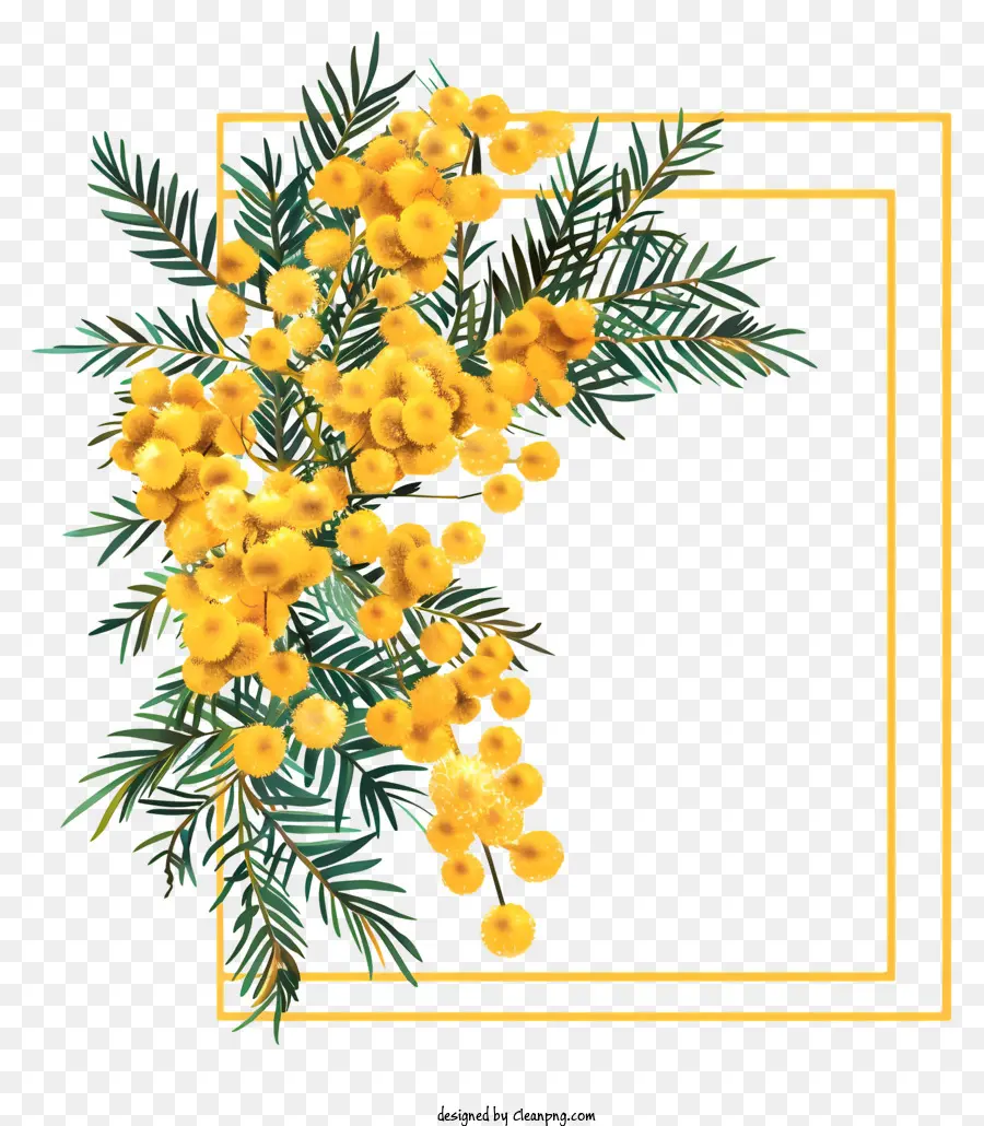 árboles De Eucalipto，Oro Amarillo PNG