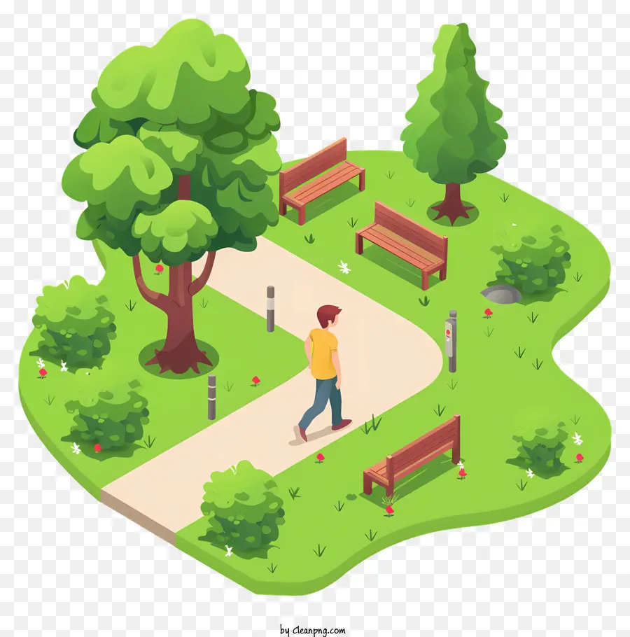 Tome Un Paseo En El Parque De Día，Parque PNG