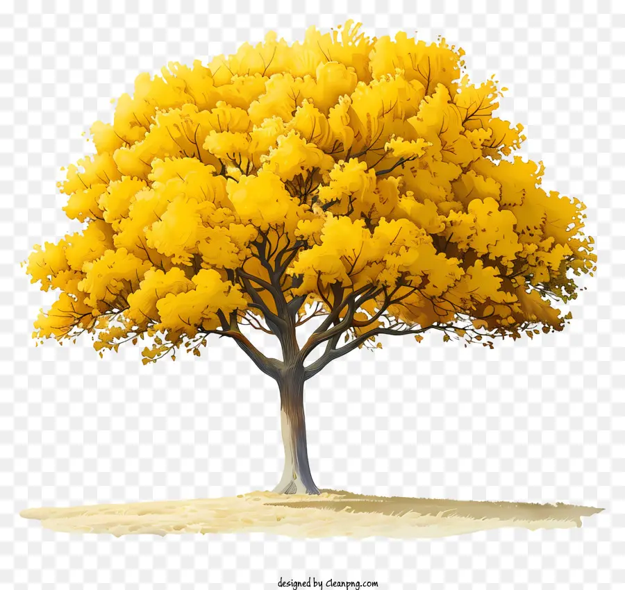 árbol De Otoño，Otoño PNG