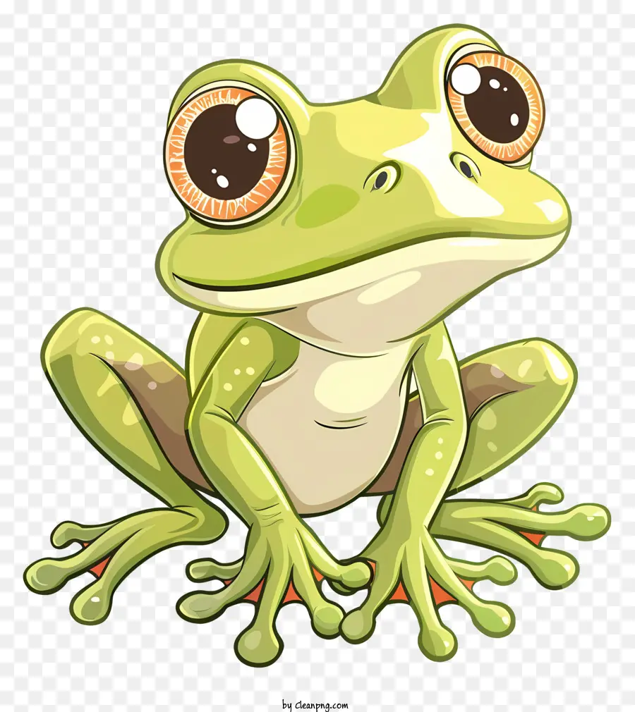 Cartoon Frog，Rana PNG