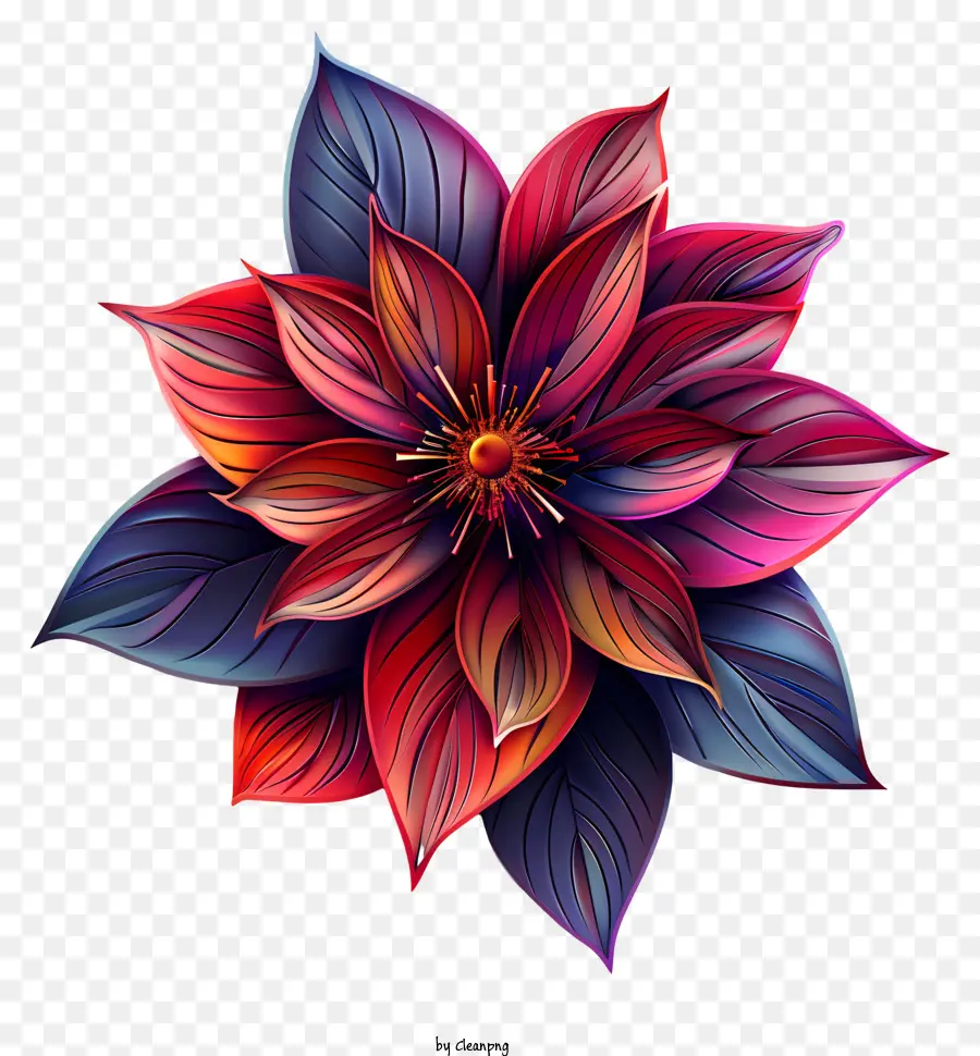 Boho，Flor Colorida PNG