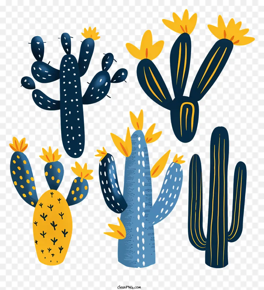 Cactus Mexicanos，Cacti PNG