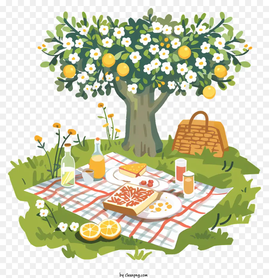 Picnic De Primavera，Picnic PNG