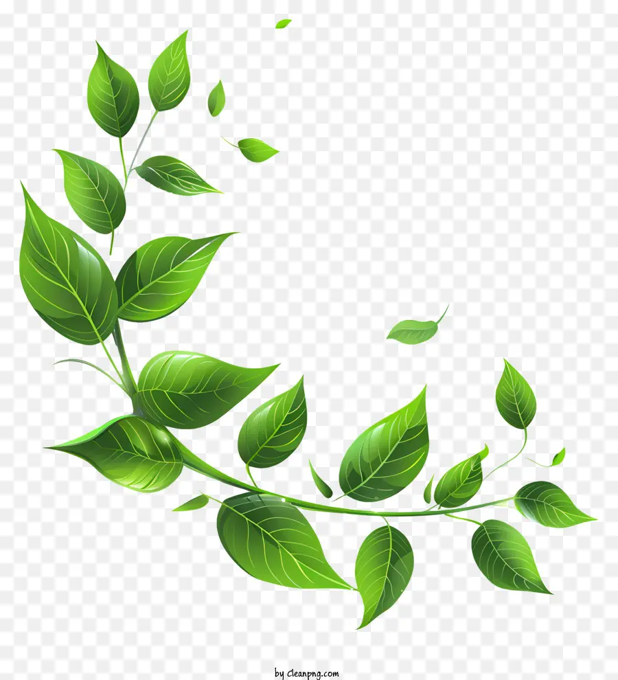 Leafs，Hoja De La Corona PNG