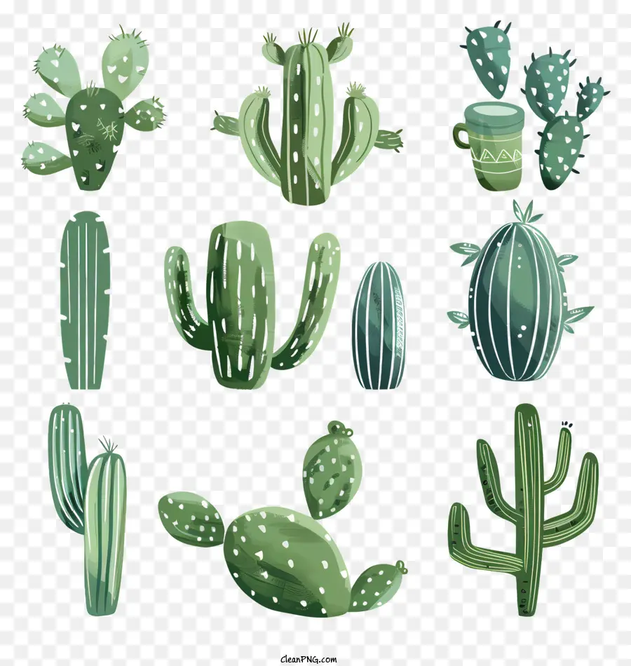 Cactus Mexicanos，Plantas De Cactus PNG