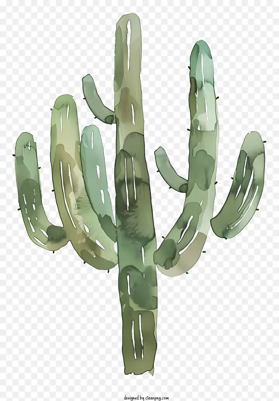 Cactus Mexicanos，Cactus PNG