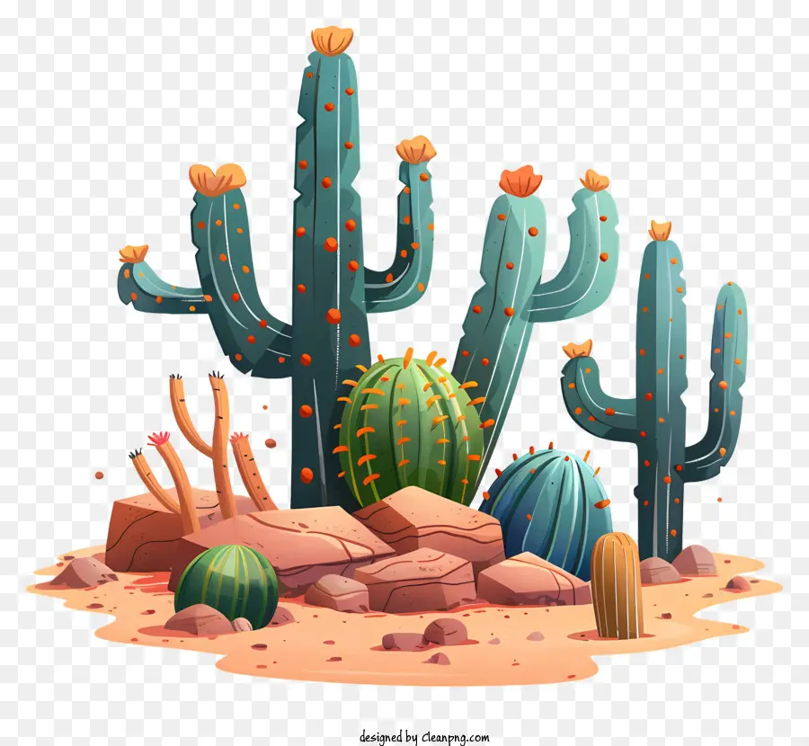 Cactus Mexicanos，Cactus PNG