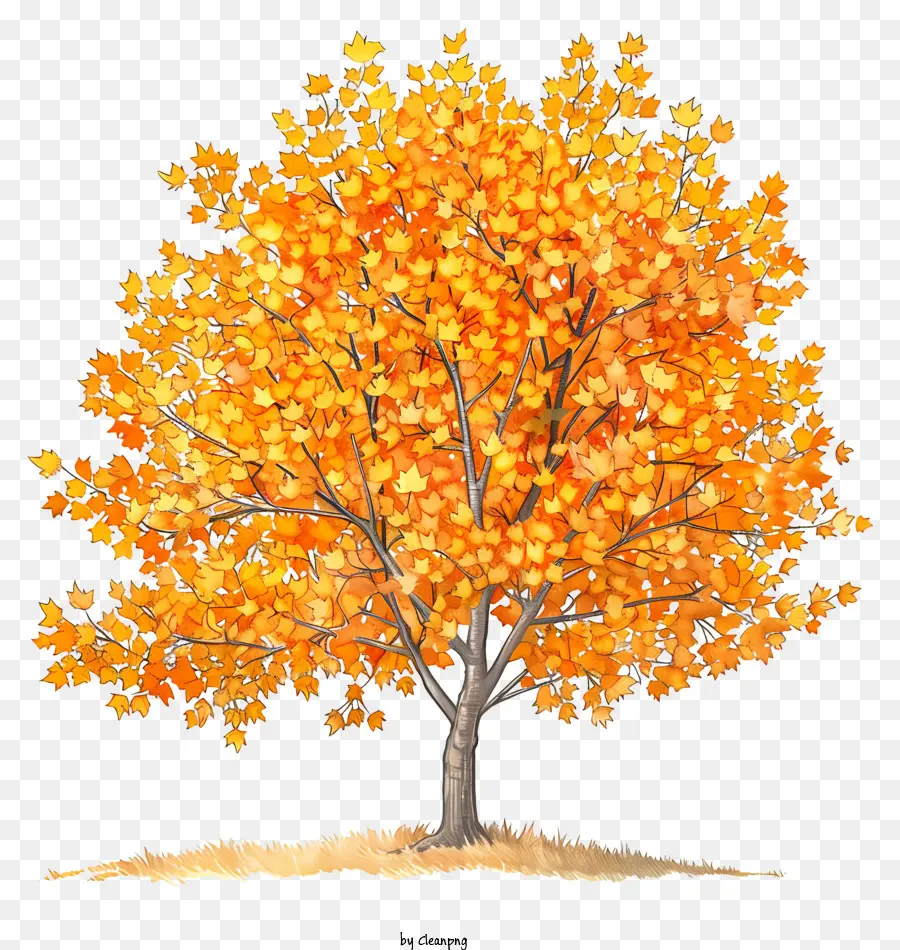 árbol De Otoño，Hojas De Oro PNG