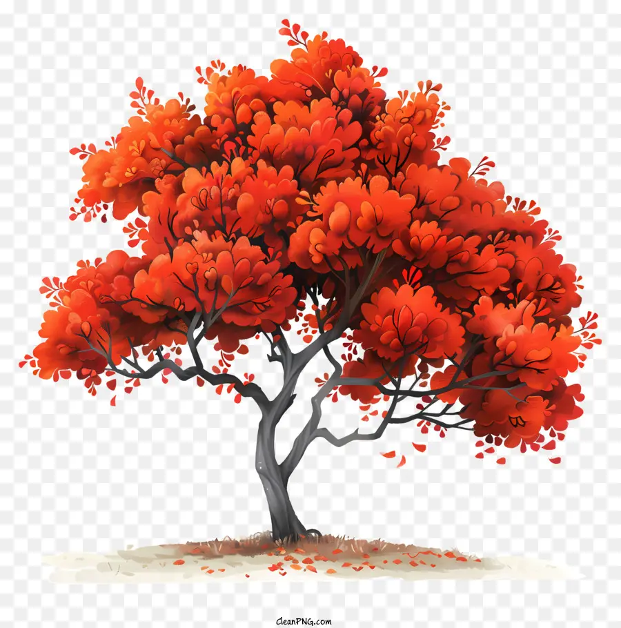 árbol De Otoño，Árbol PNG