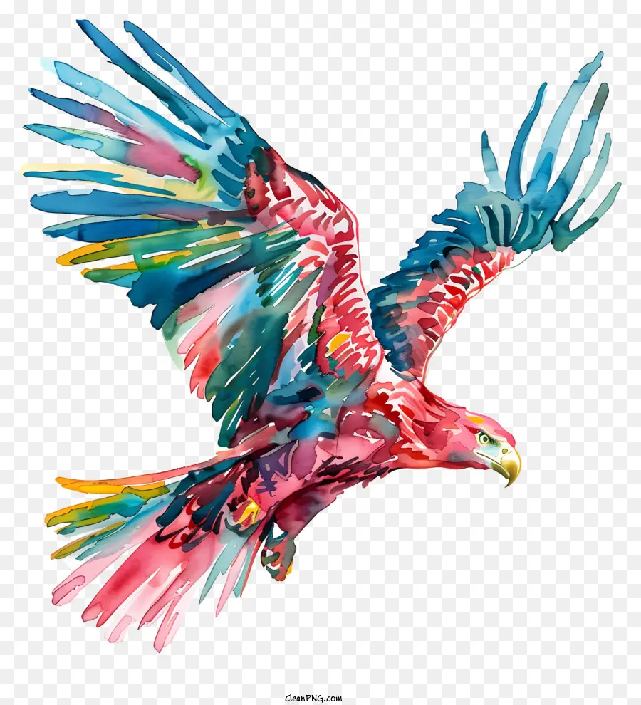 Acuarela águila，Pintura De Pájaros Coloridos PNG