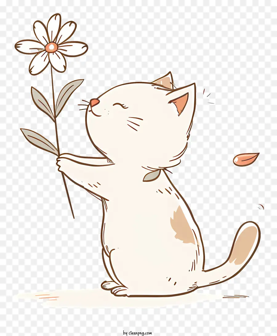 Gato Jugando Flores，Gato Blanco PNG