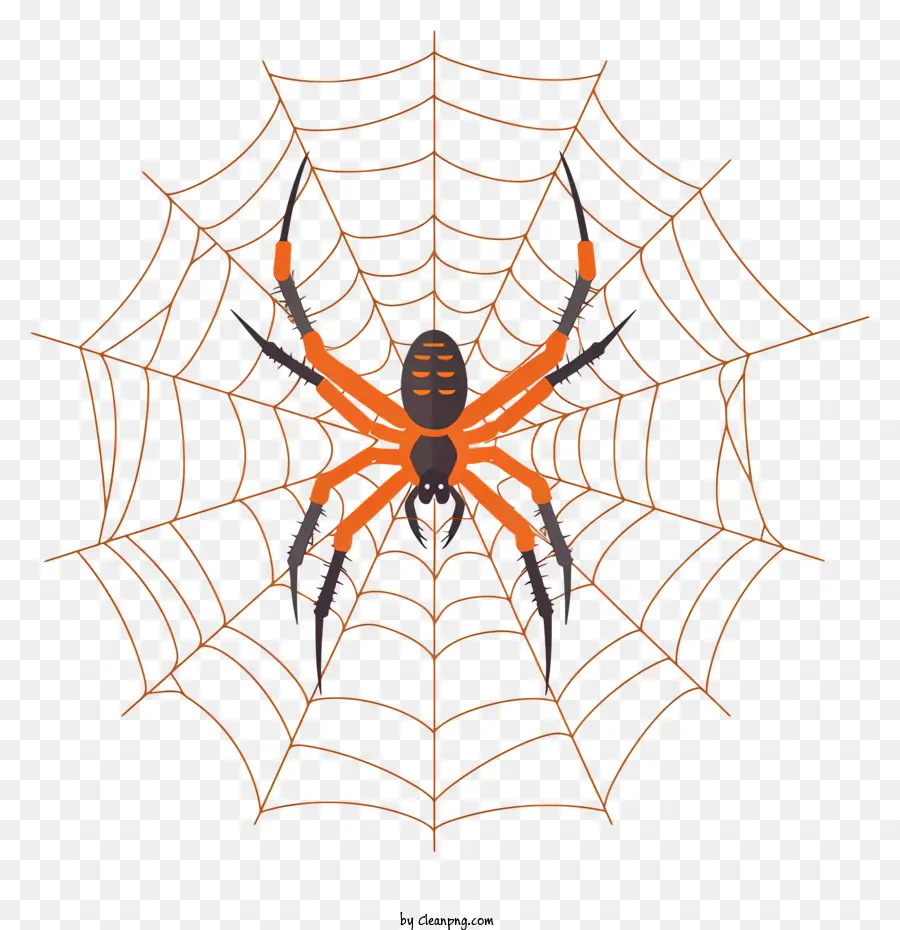 Araña，Negro PNG