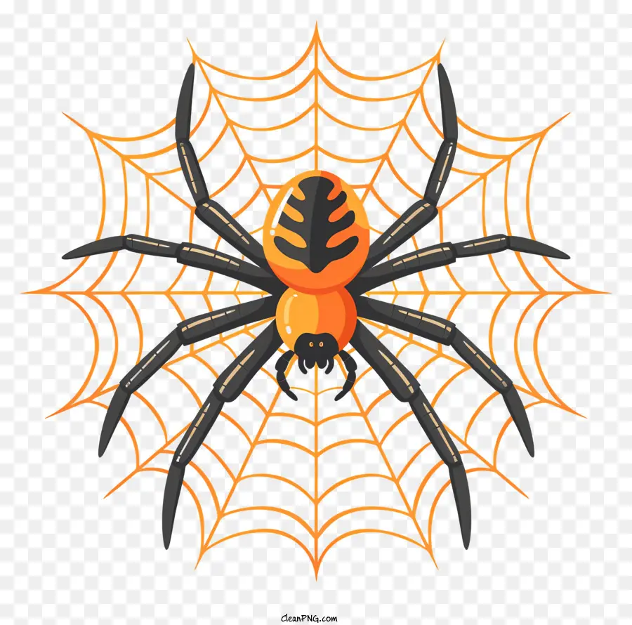 Araña，Web PNG