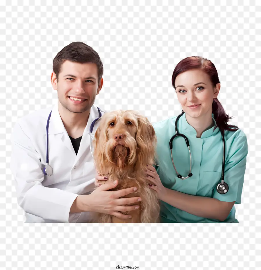 Perro，Profesionales De La Medicina PNG