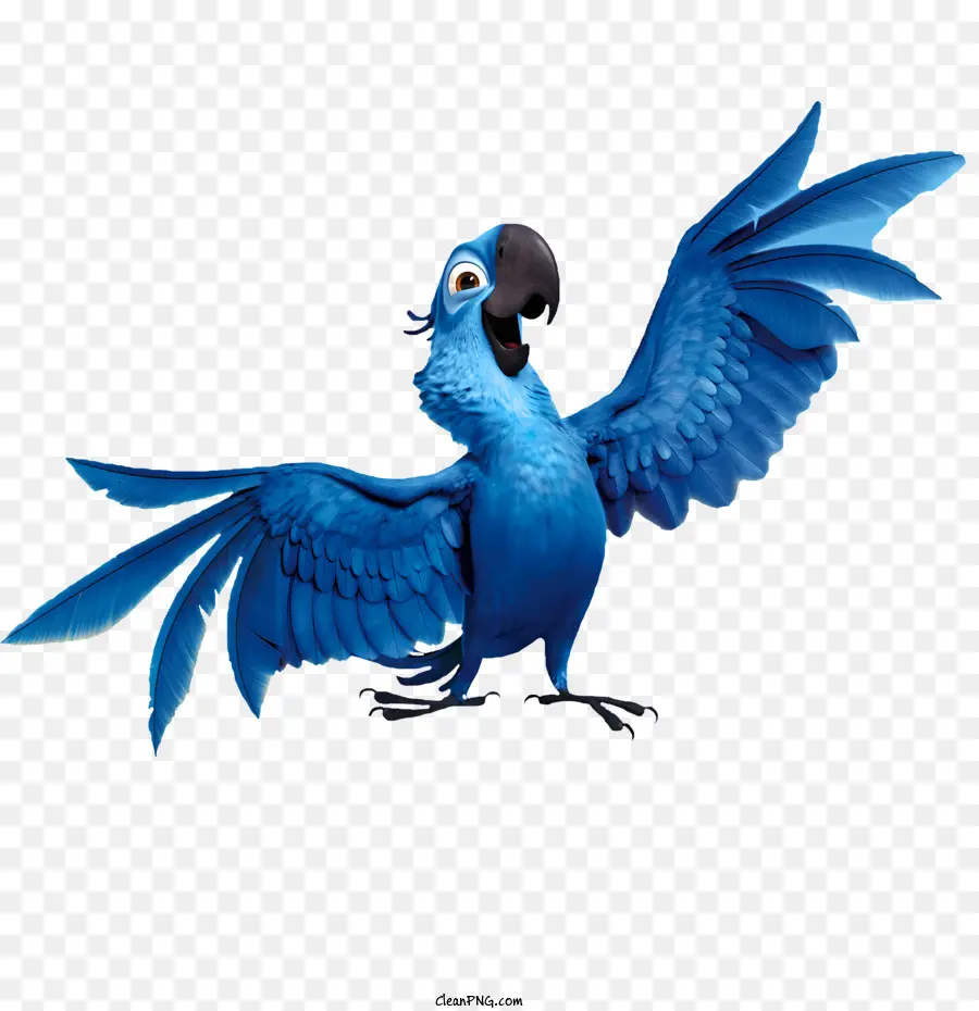 Aves，Loro PNG