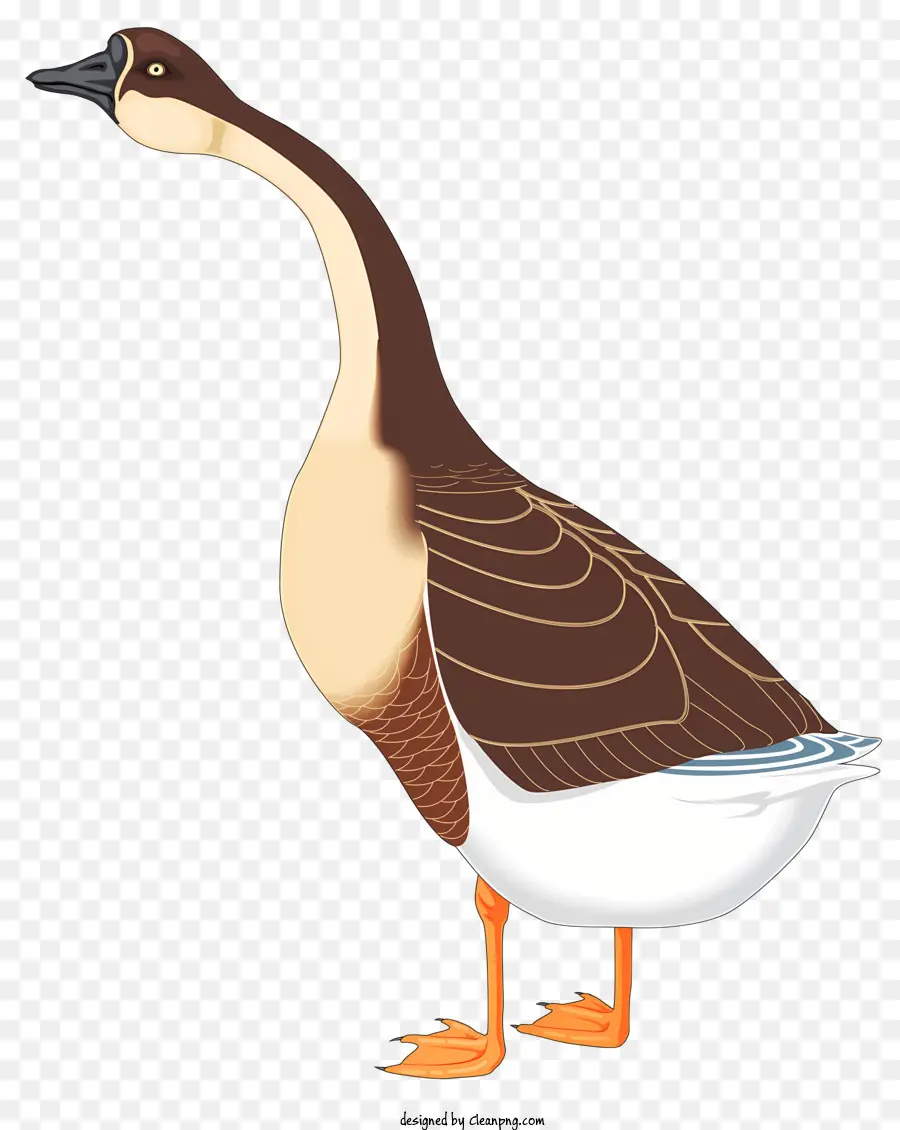 Ganso，Swan PNG